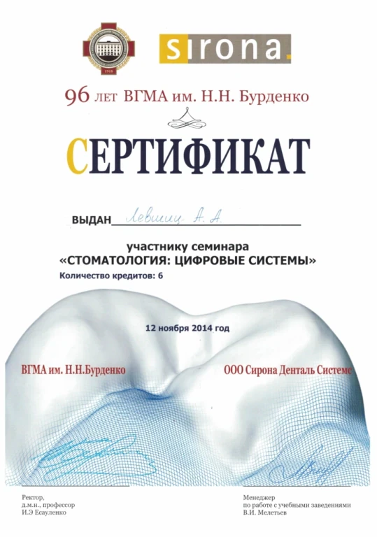 Левшиц Анна Александровна — диплом/сертификат