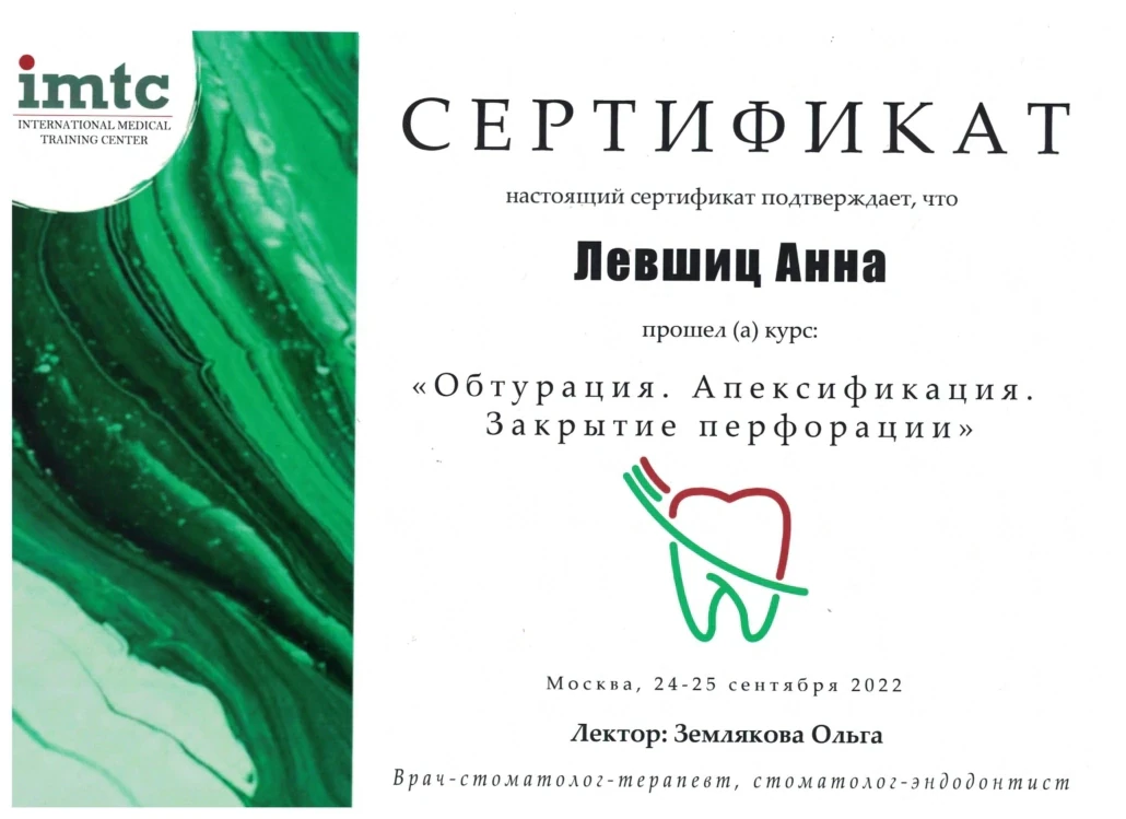 Левшиц Анна Александровна — диплом/сертификат